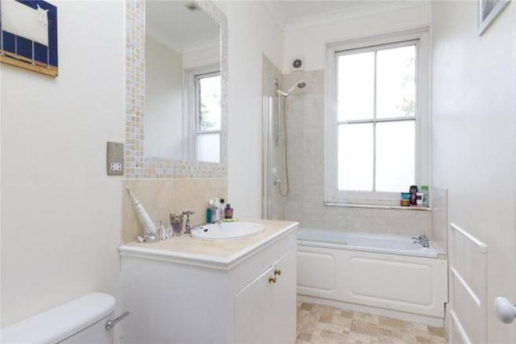 The bathroom (with a tube!)