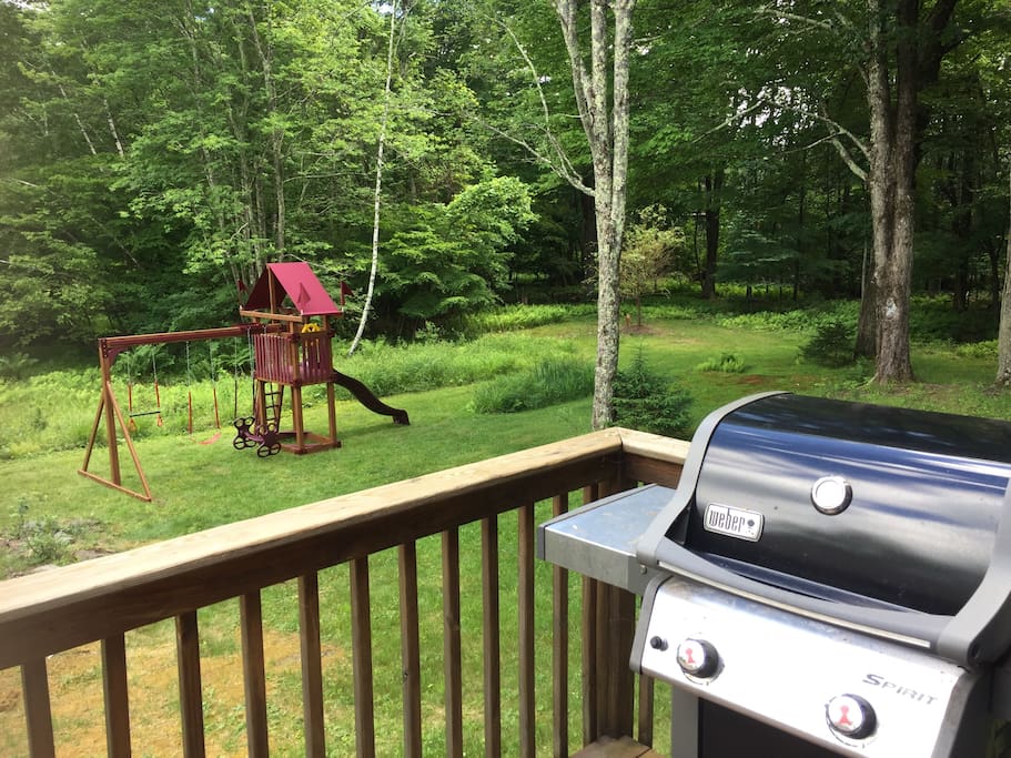 Brand new swing set.