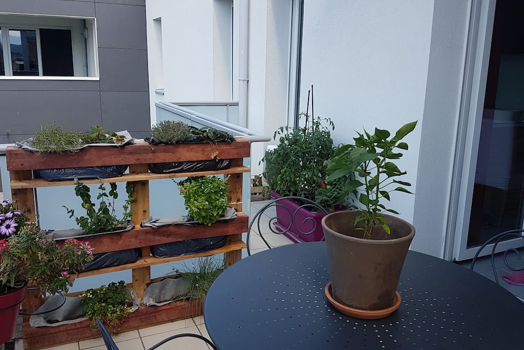 Balcon