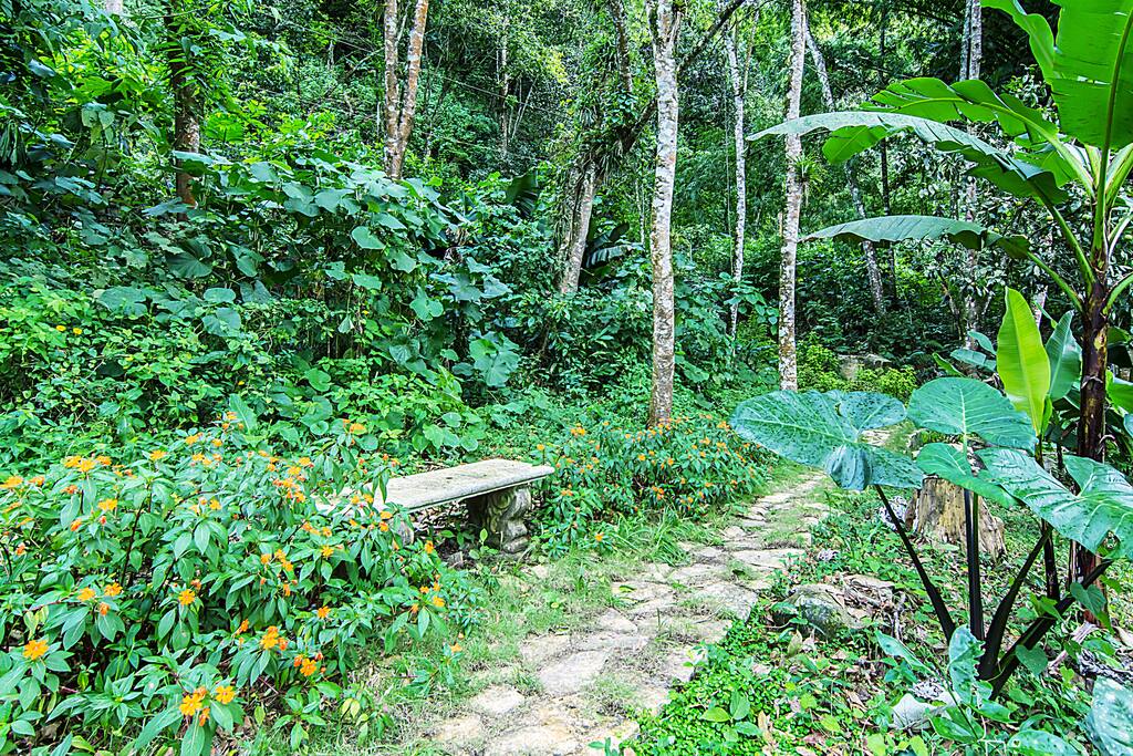 Jardin-huerto con bancos