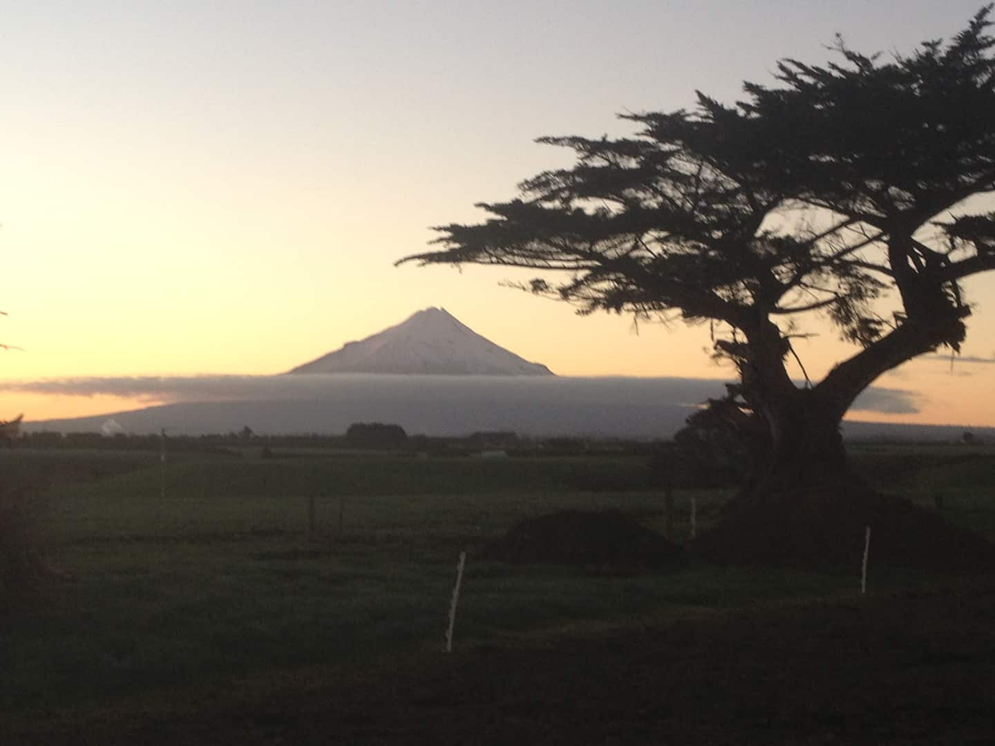 Hosted Taranaki Dairy Farm Tour 4