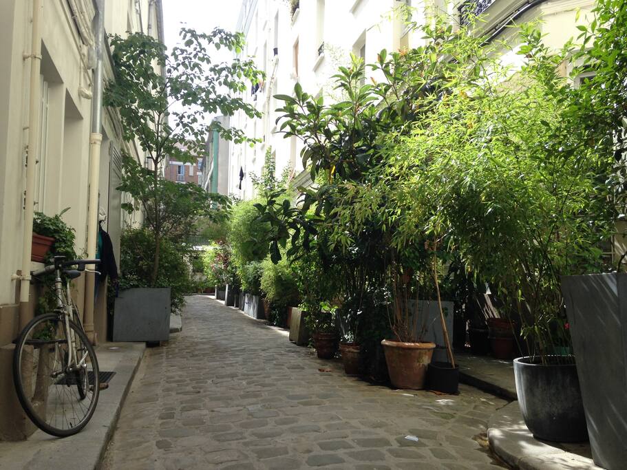 Cour interieure