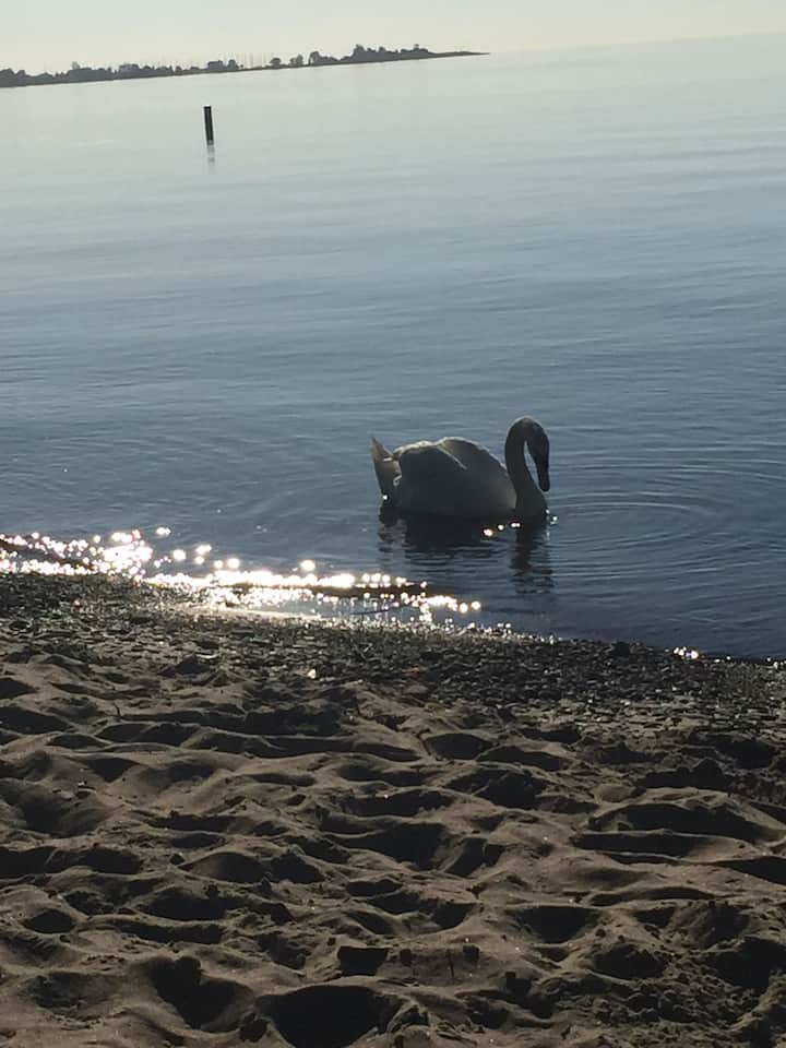 Marie Curtis Park East Beach Vacation Rentals & Homes Etobicoke, Toronto, Canada Airbnb