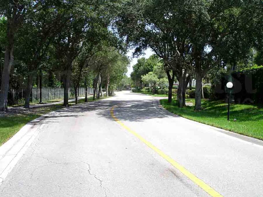 Road and Walking Path