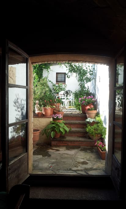 Jardín trasero