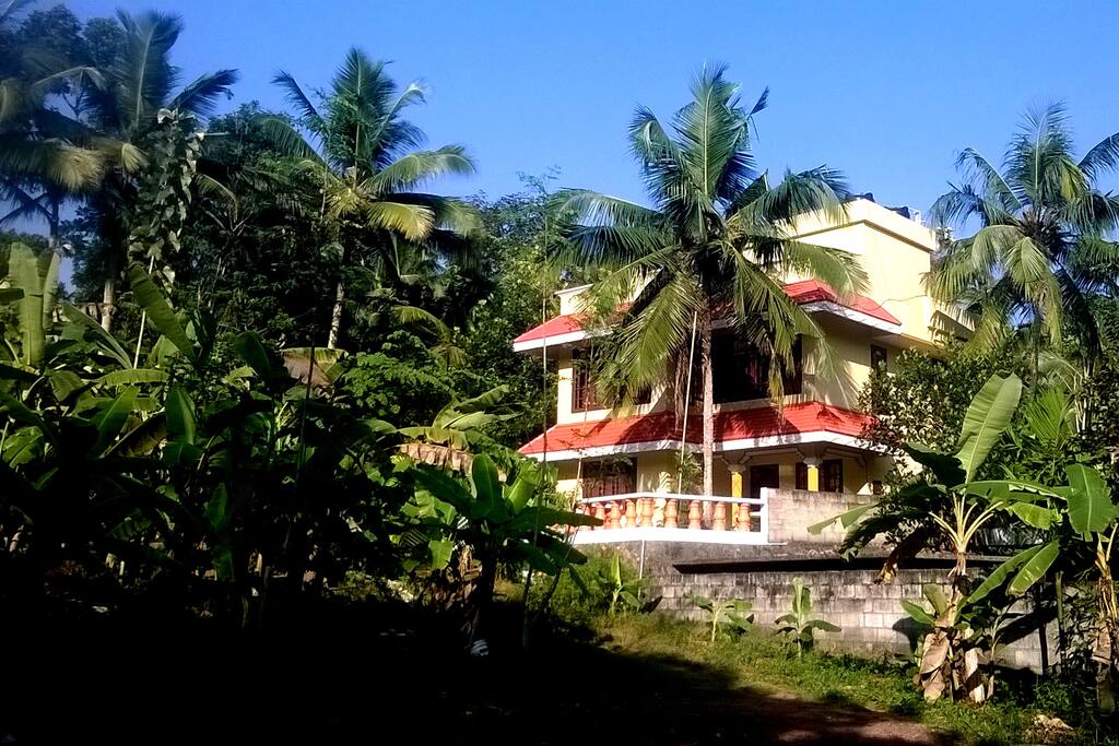 front view