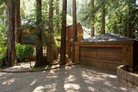 Stunning Family Home in Redwoods