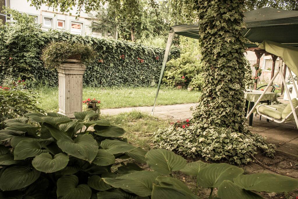 yard