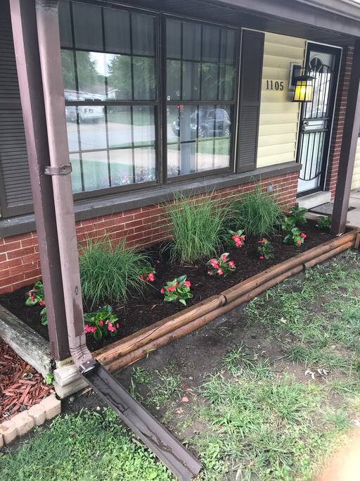 front yard