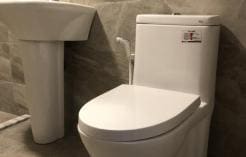 A modern bathroom features a clean, white toilet and a pedestal sink. The walls are adorned with neutral-toned tiles, creating a serene and simple space. The toilet is equipped with a bidet function for added convenience.