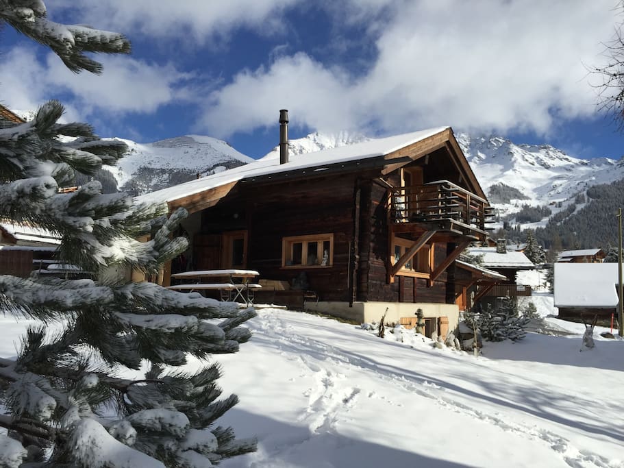 Le chalet et son jardin - The chalet and garden