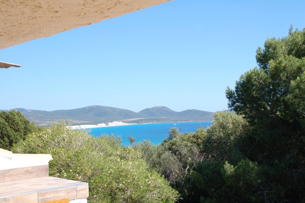 Veduta sulle dune