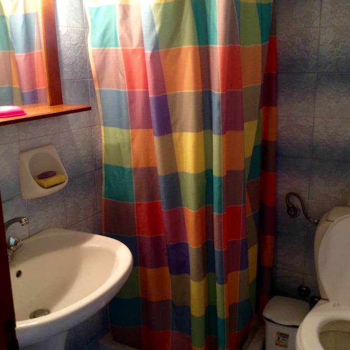 shower and toilette