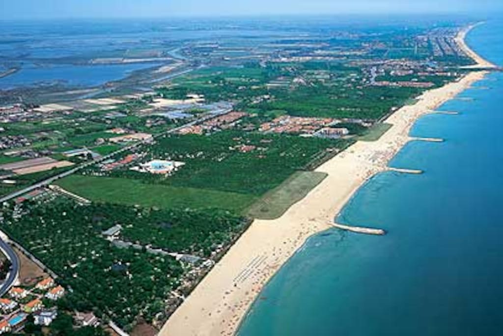 green area beaches