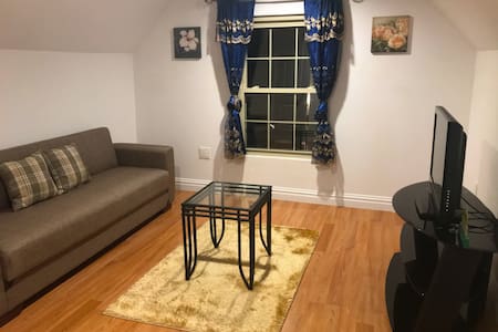 Bronx Well-lit One Bedroom Apartment (Private)