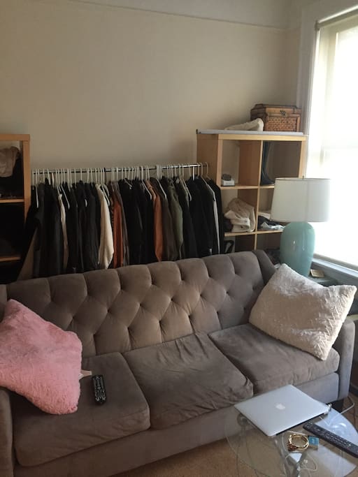 Living room with 2 huge windows facing park avenue