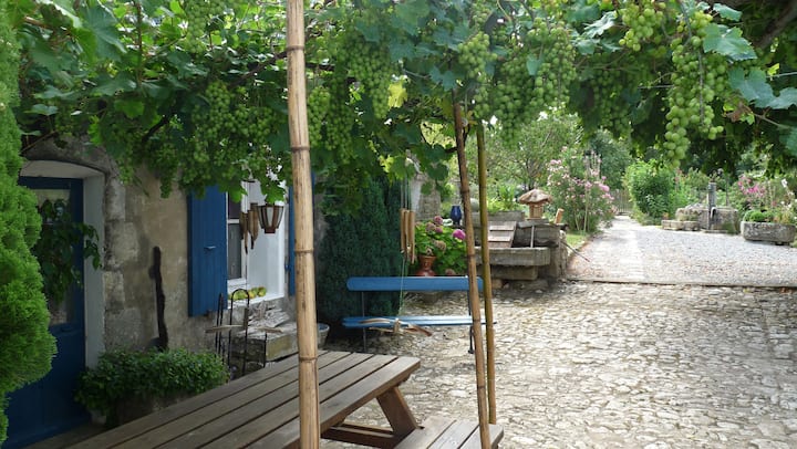 Découverte Et Nature - Ronce-les-Bains