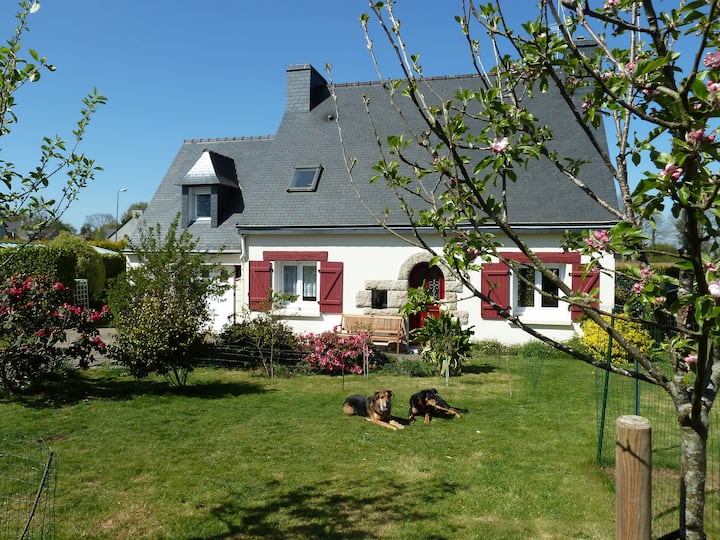 Cosy room at Plomelin- near Quimper & beaches