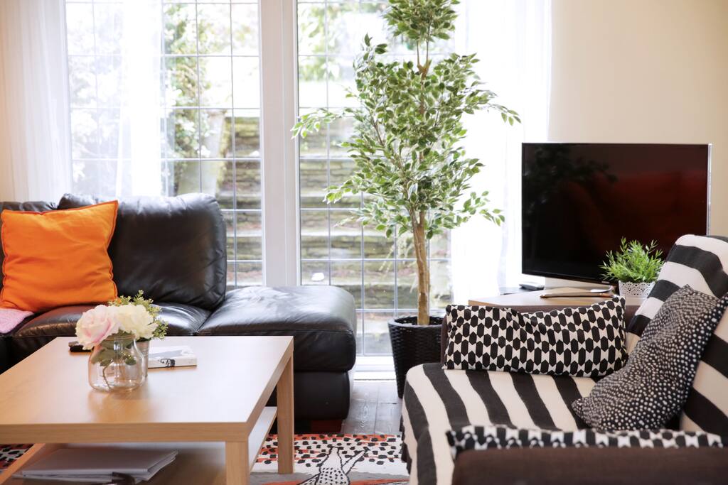 The lounge (TV area)