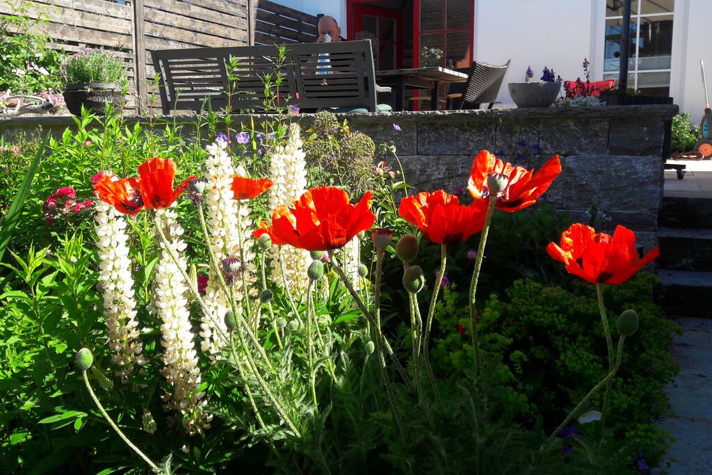 der Aufgang durch den Garten
