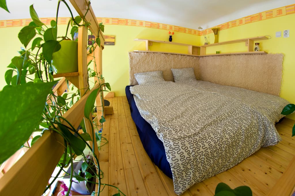 Bed for 2 guests.