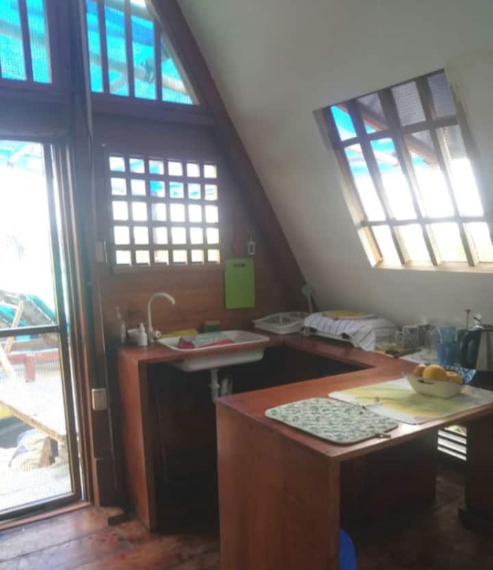 Tree House In The Mangrove - Galápagos Islands