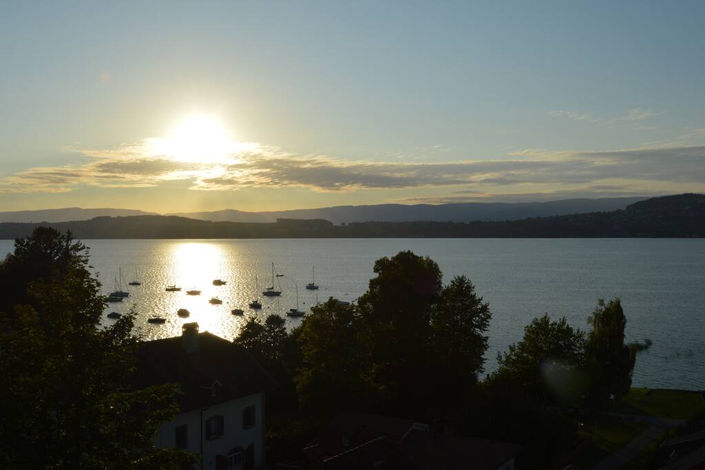 Aussicht aus dem Studio Murten