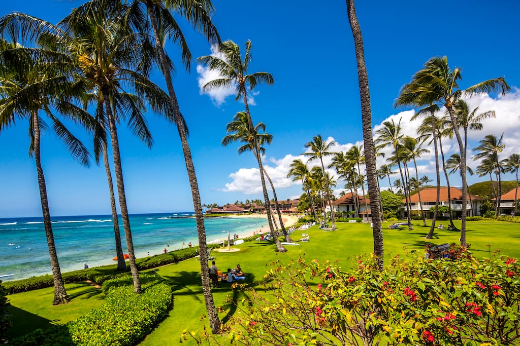 Ocean Front View