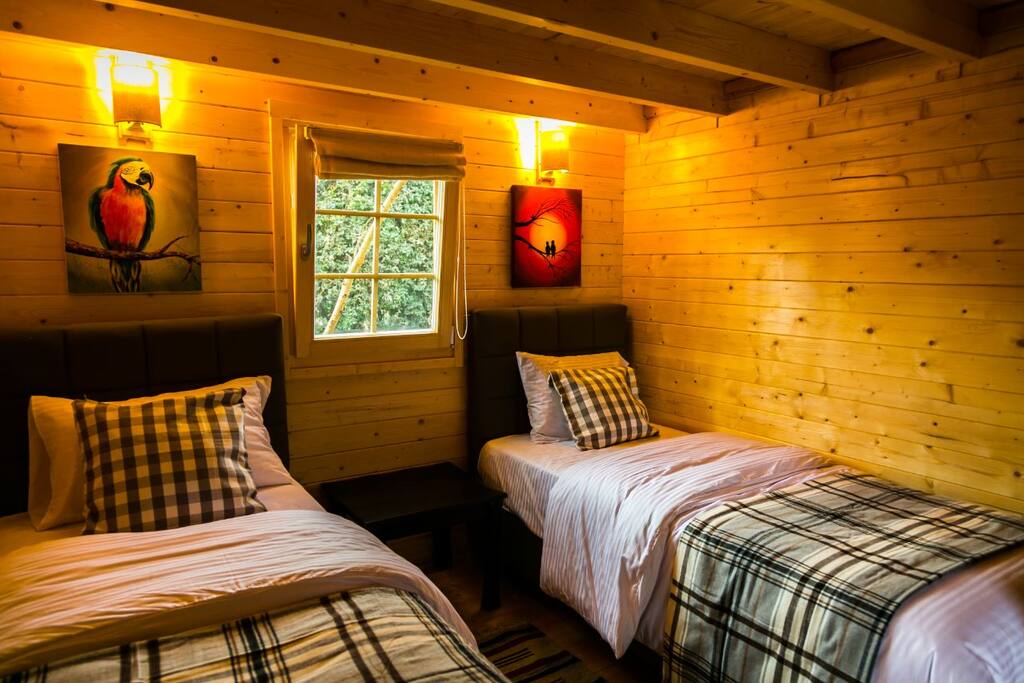 Twin room