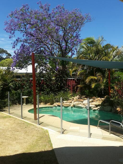 Pool set in mature garden