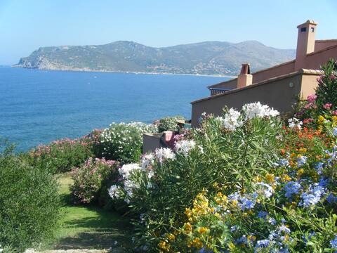 Ajaccio-Villanova. Waterfront villa. 12/14p