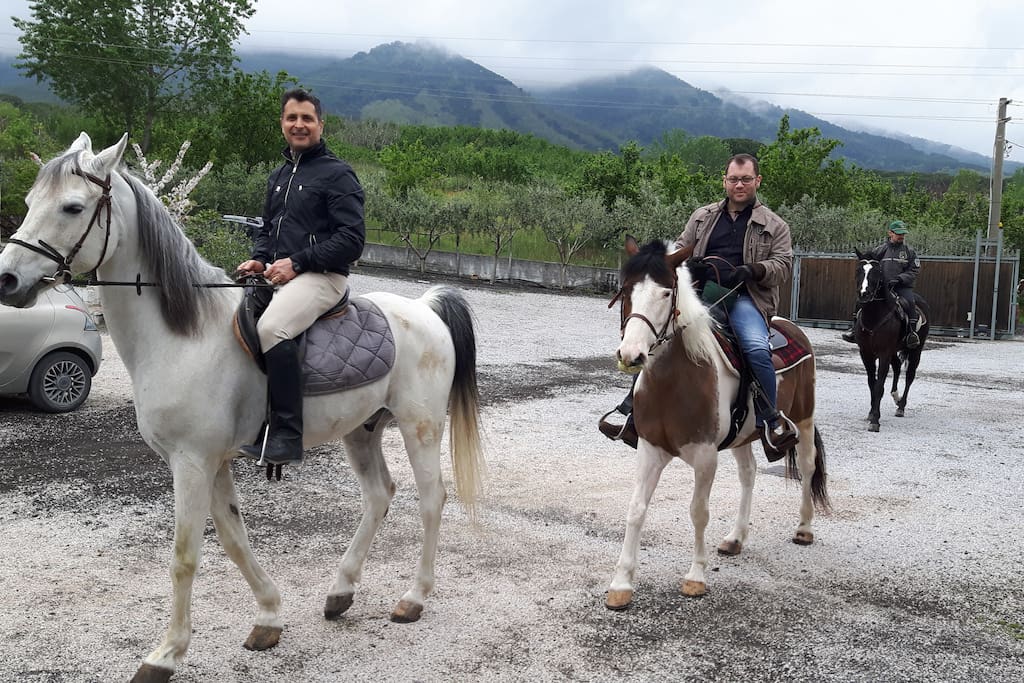 Cavalli, pony e tanti altri animali di nostra proprietà