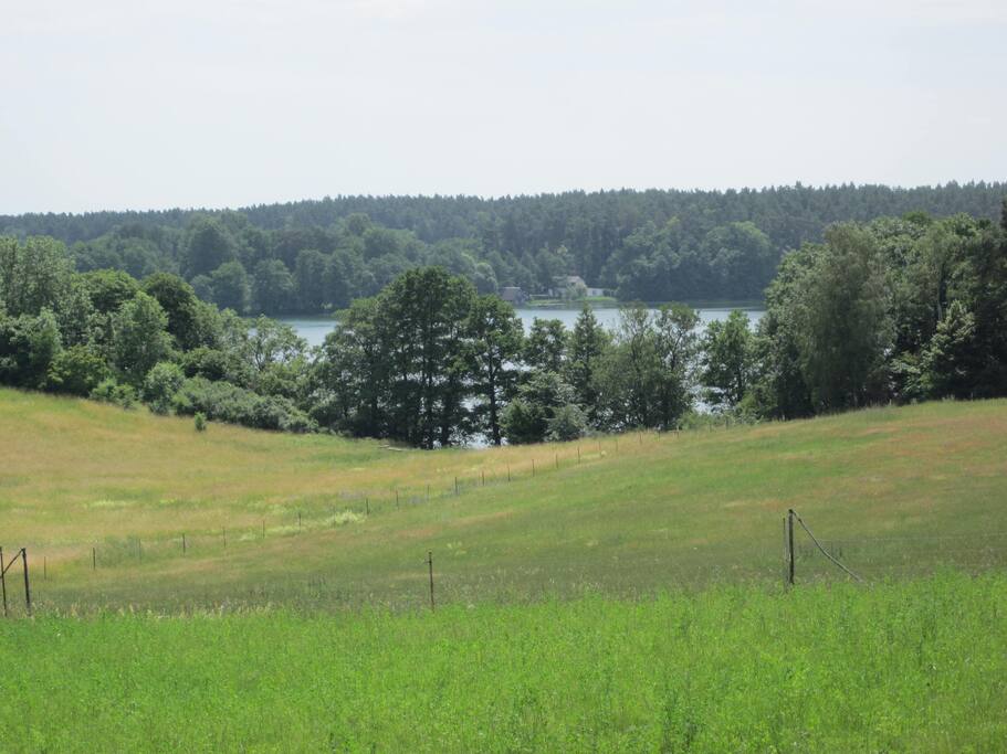 Blick zum Wurlsee