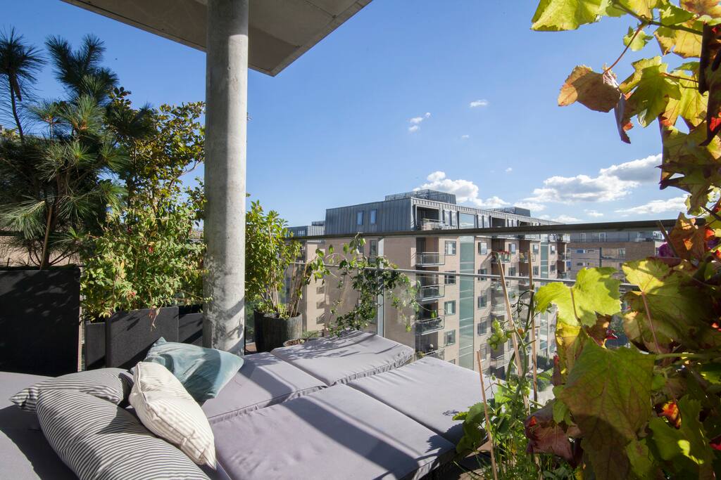 South balcony