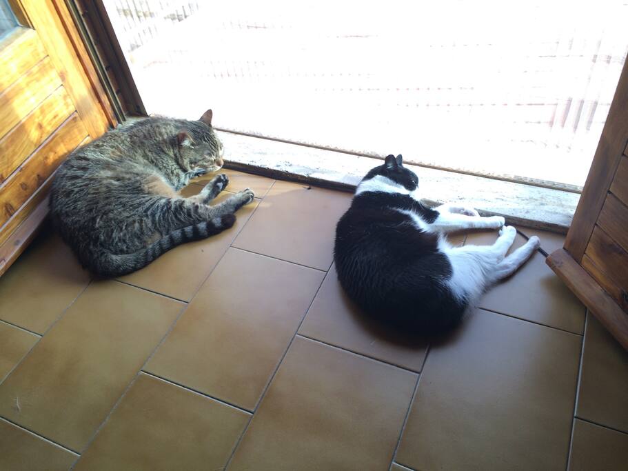 I padroni di casa :-)))