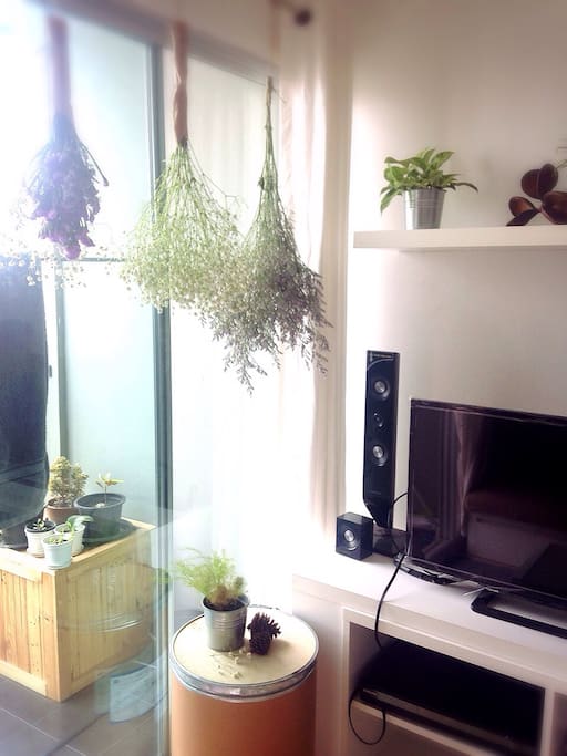 flatscreen-TV, DVD player, soundsystem