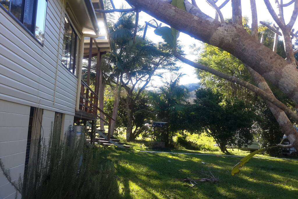 The house and garden