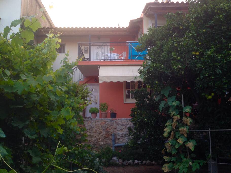 View of house from the garden