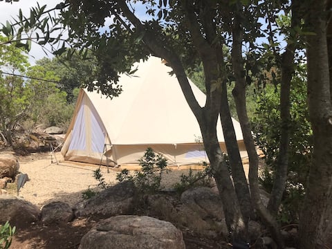 Tents&Breakfast Lu Suaretu tra Palau e Cannigione