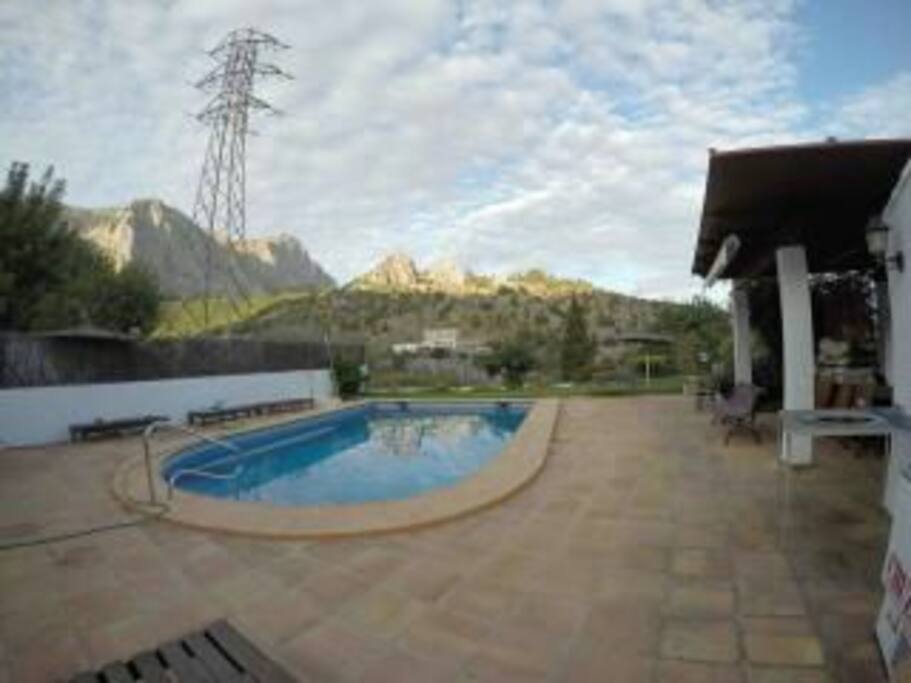 swimming pool and common areas