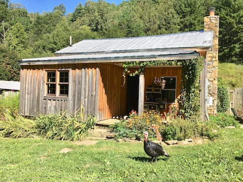 Popular Airbnb listing: A Farmhouse experience with the animals! in Maggie Valley / Waynesville