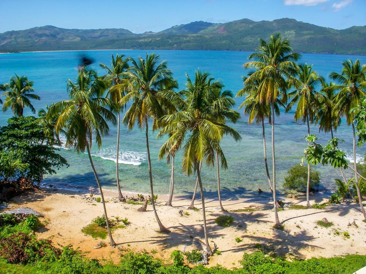 An expansive beach scene captures tall palm trees swaying gently along the shore. Crystal-clear turquoise waters reflect the surrounding mountains. The sandy area provides a serene setting, while the vibrant greens of nearby vegetation enhance the tropical atmosphere of the location.