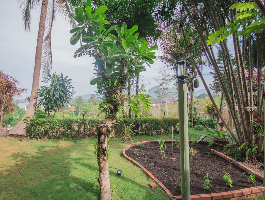 A view from the front porch