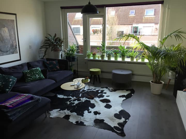Nijmegen Goffertpark One bedroom apartment Apartments for Rent in