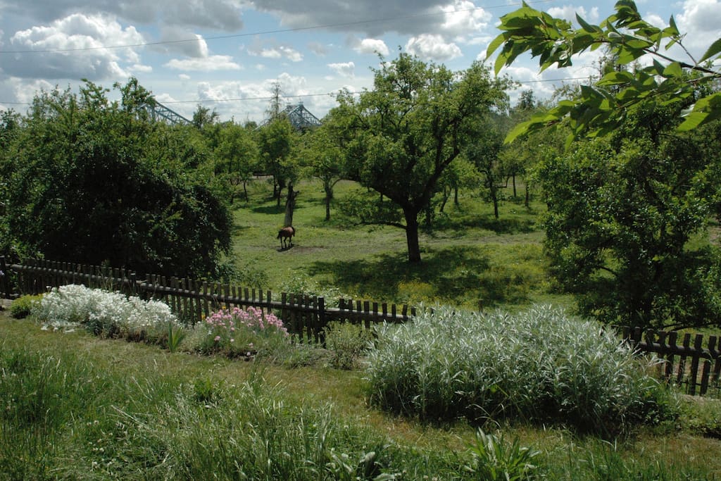 Horses make a landscape more beautiful