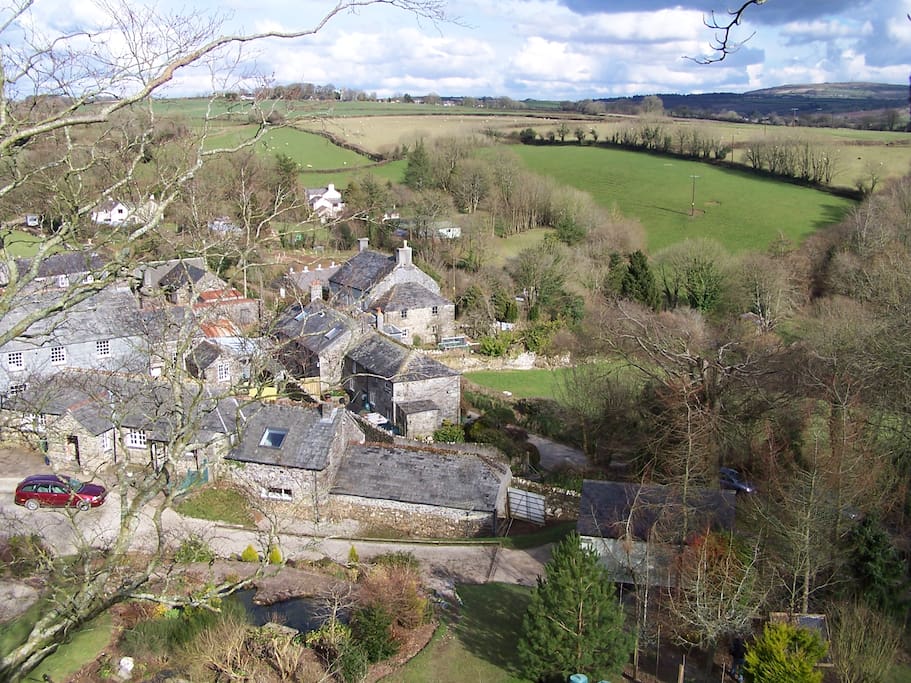 Mornick Hamlet from the top of a beech tree