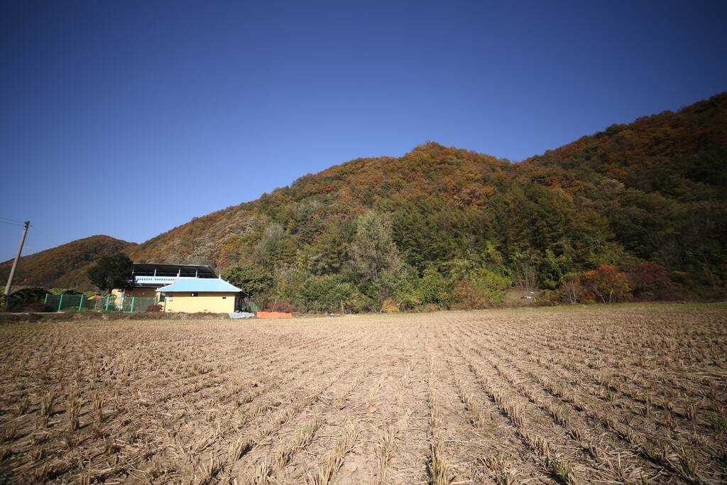 마을과는 500m정도 떨어져 있는 곳에 위치해서 타인의 간섭을 받지않습니다.