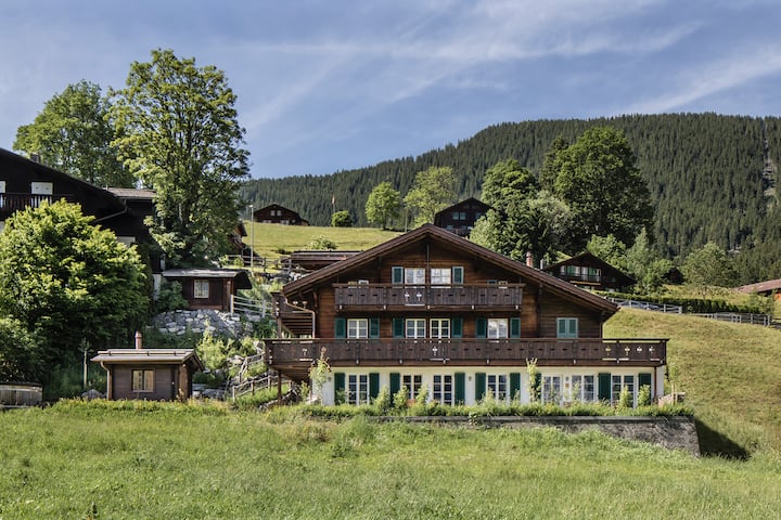 Grosse, Sonnige 3.5 Zimmer-wohnung In Grindelwald - Grindelwald