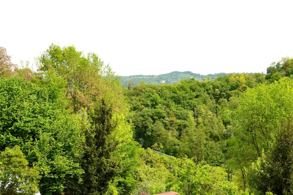 Vista dal balcone.