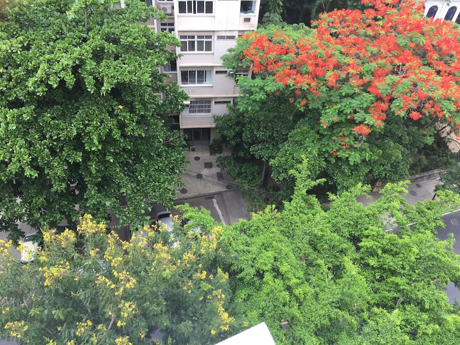 Street in front of the building